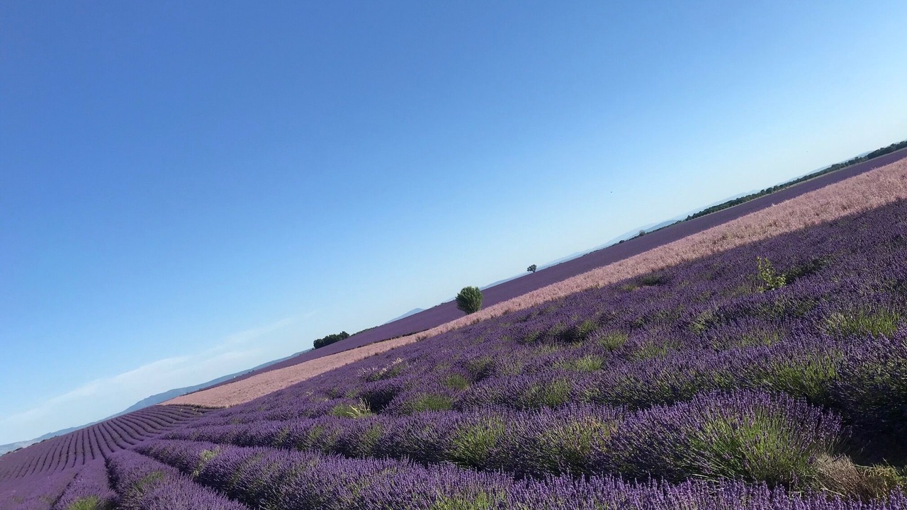 Photo of Outdoor in Le Puy-Sainte-Reparade