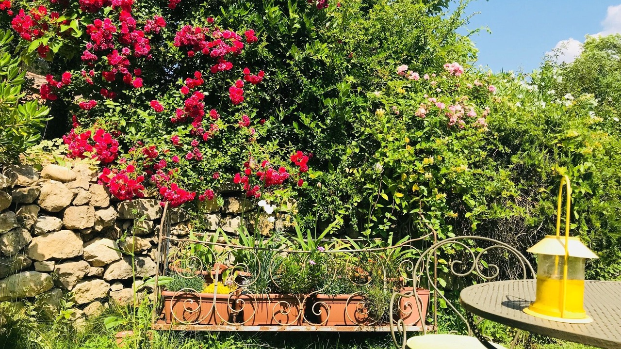 Photo of Outdoor in Le Puy-Sainte-Reparade