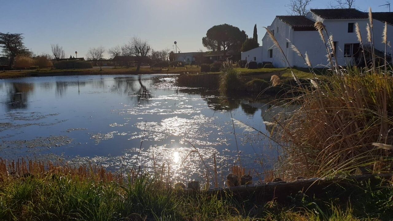 Photo of Outdoor in Saintes-Maries-de-la-Mer