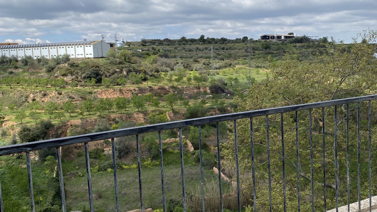 Photo of Outdoor in Juncosa