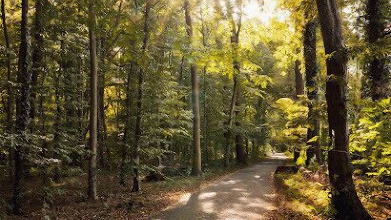 Photo of Outdoor in Vahrenwald