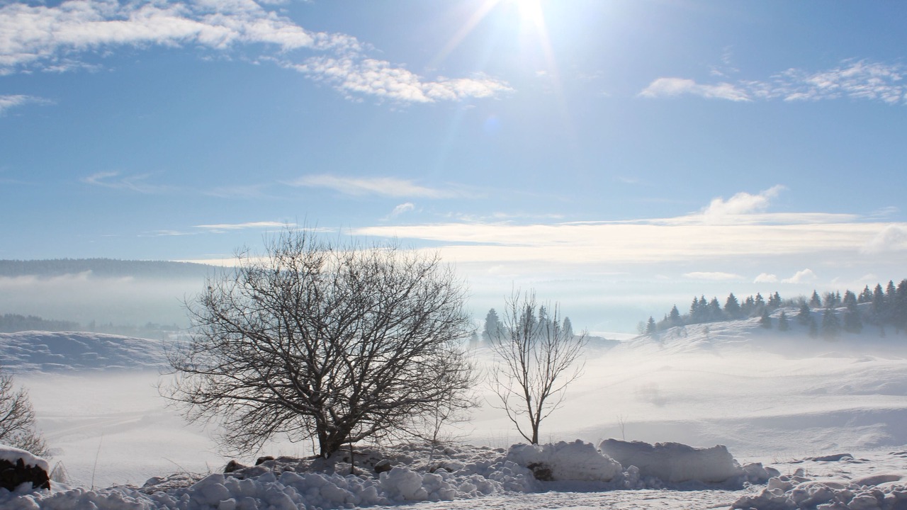 Photo of Outdoor in Saint-Pierre