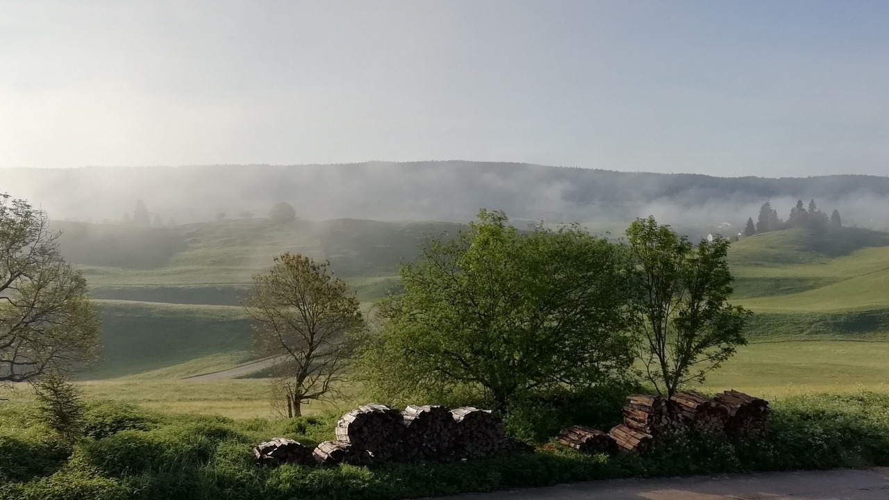 Photo of Outdoor in Saint-Pierre