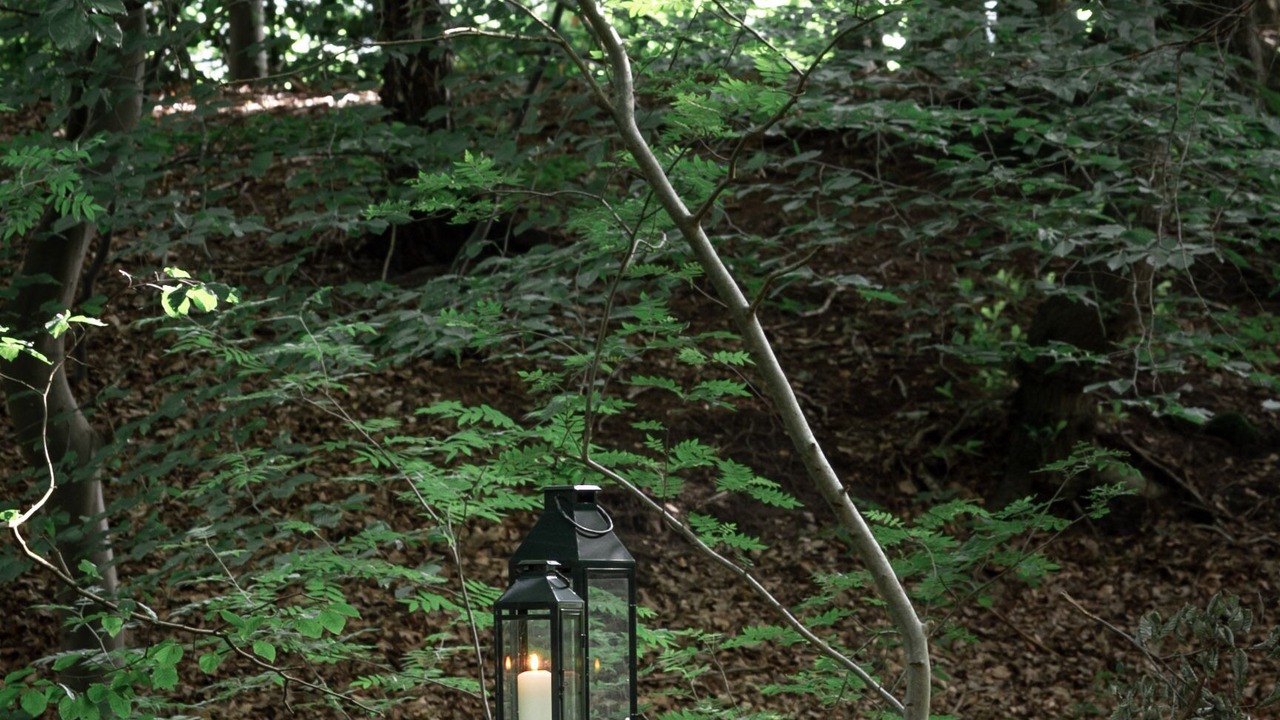 Photo of Outdoor in Grossenkneten