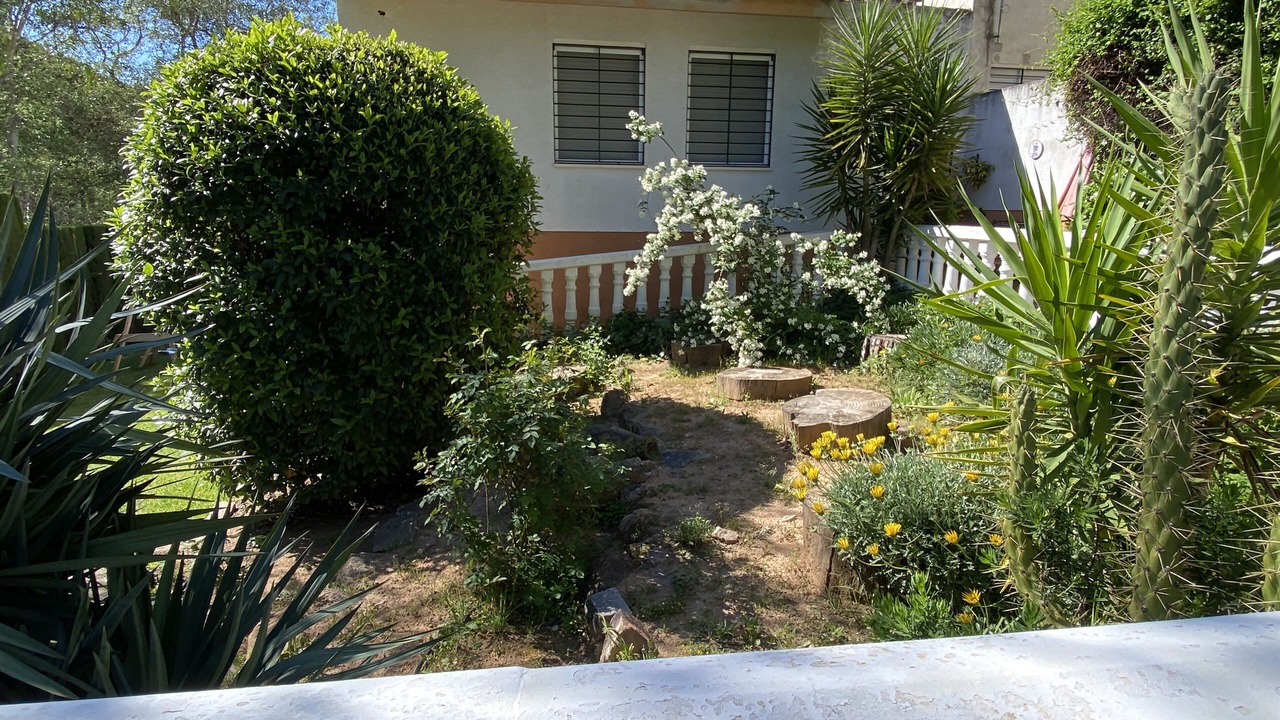 Photo of Outdoor in Las Jaras