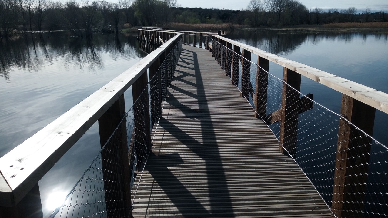 Photo of Others in Garrigues-Sainte-Eulalie