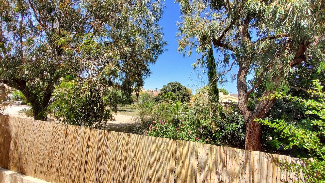 Photo of Outdoor in San Fulgencio