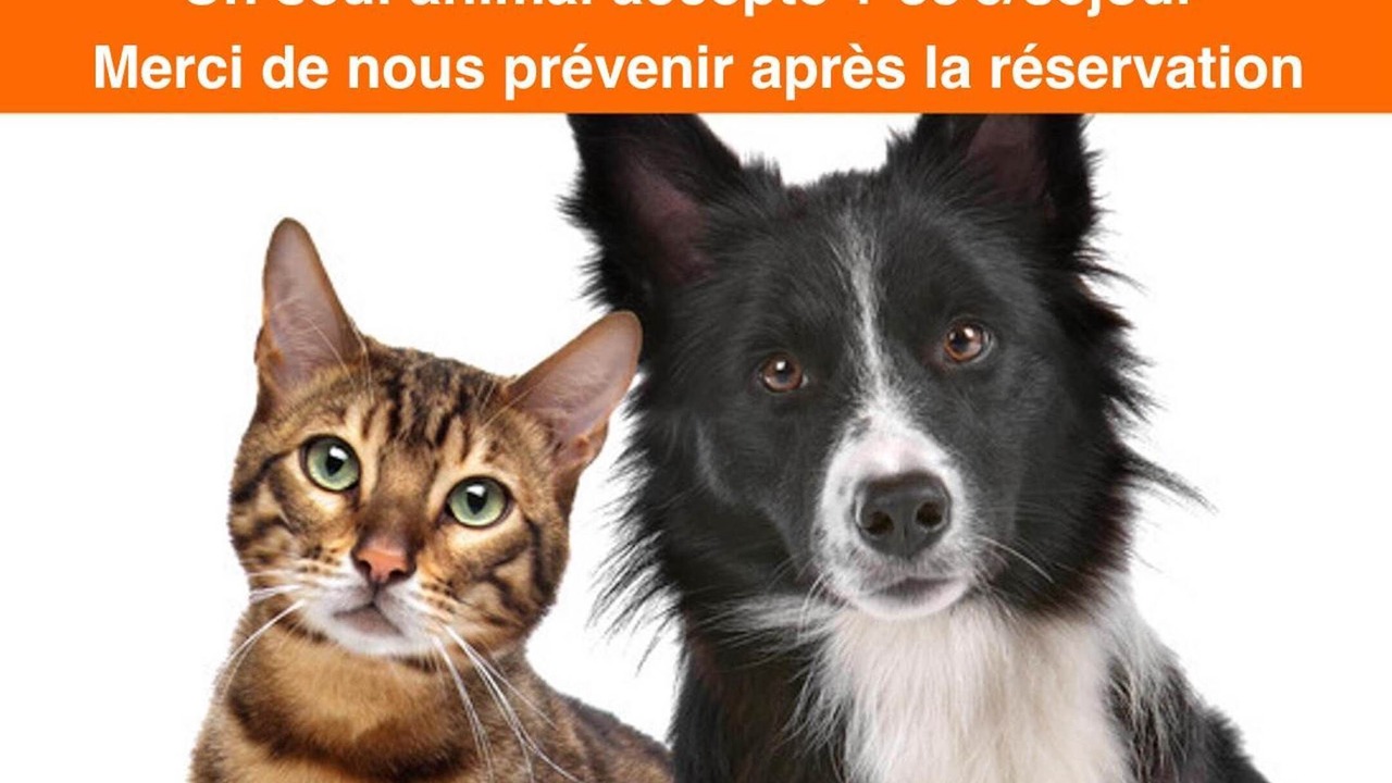 Photo of Others in Bonlieu
