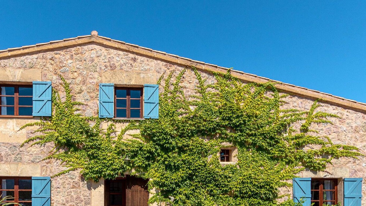 Photo of Outdoor in Alcudia