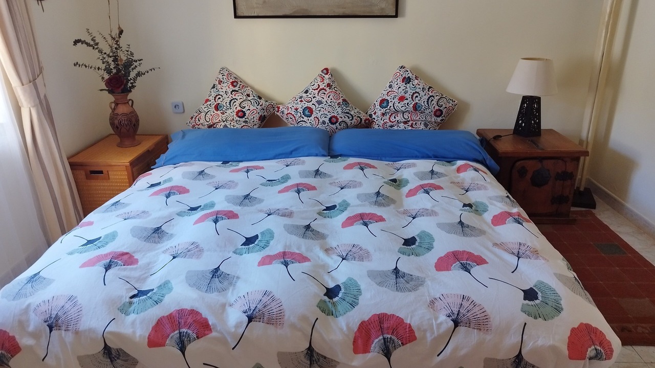 Photo of Bedroom in Feria