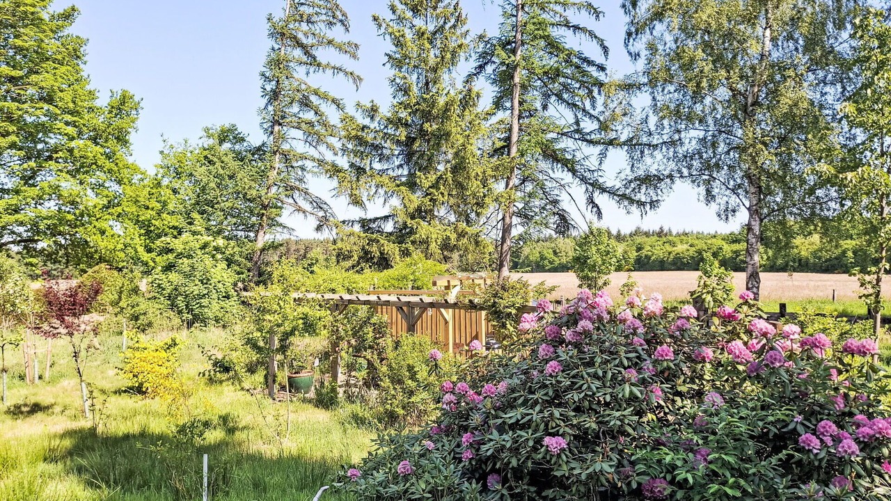 Photo of Outdoor in Grossenkneten