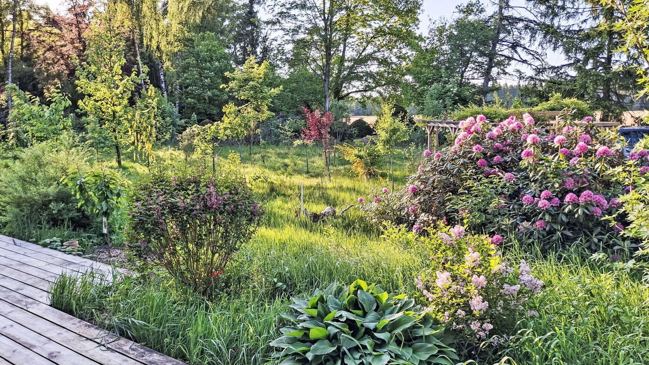 Photo of Outdoor in Grossenkneten
