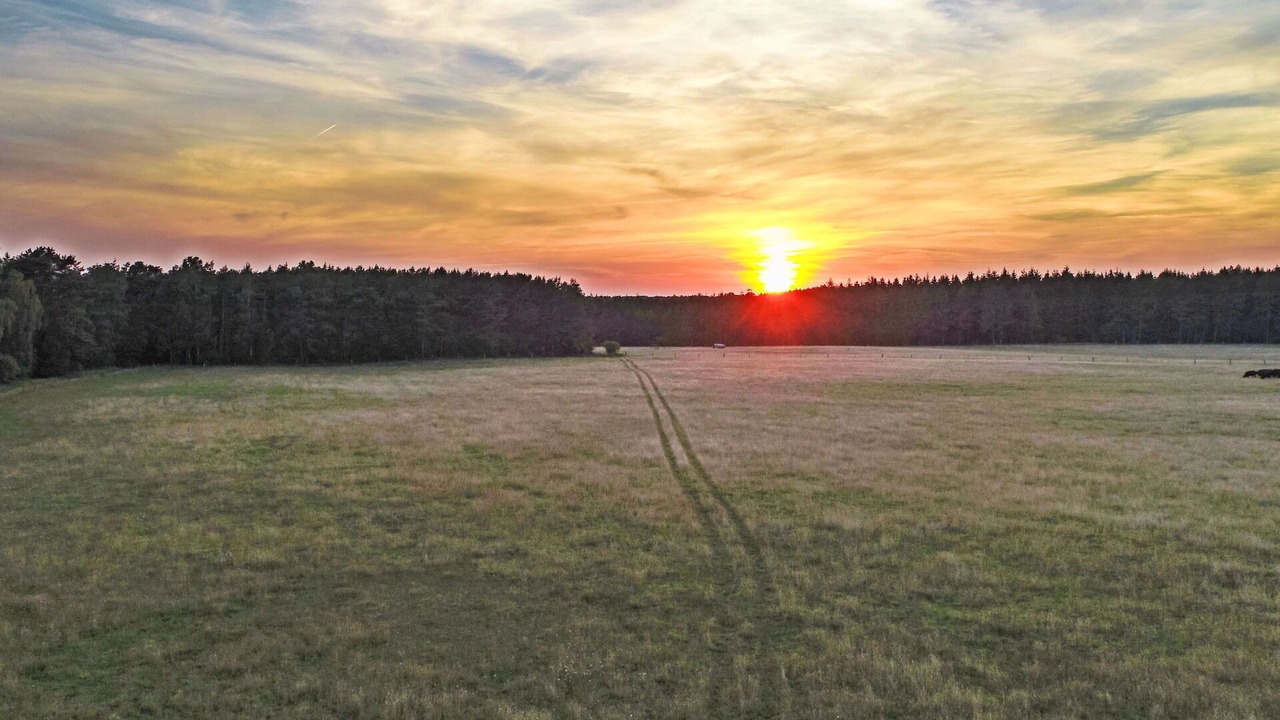 Photo of Others in Grossenkneten