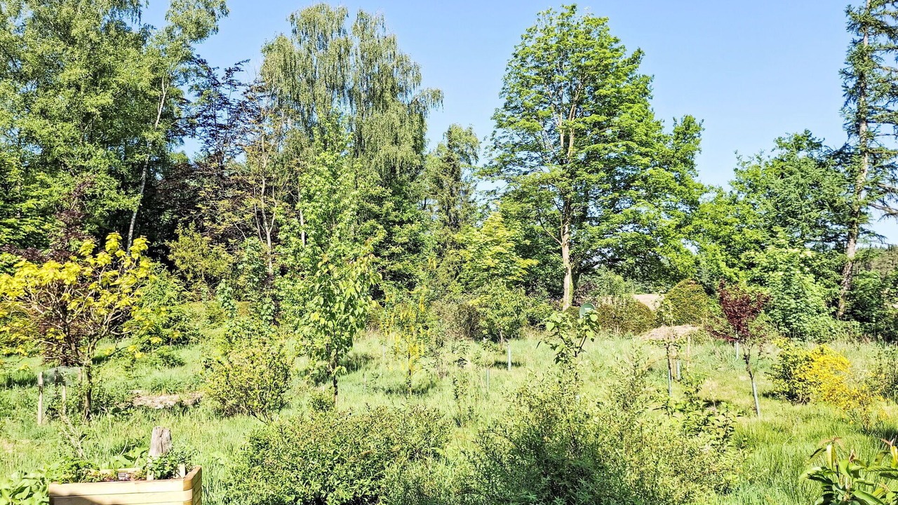 Photo of Others in Grossenkneten