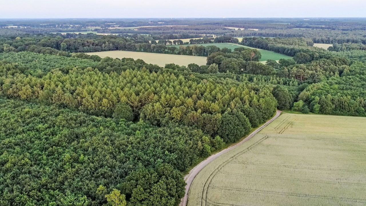 Photo of Others in Grossenkneten
