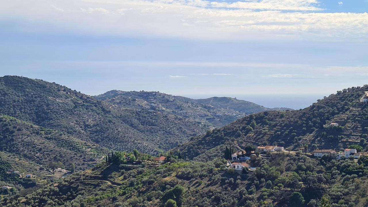 Photo of Others in Competa