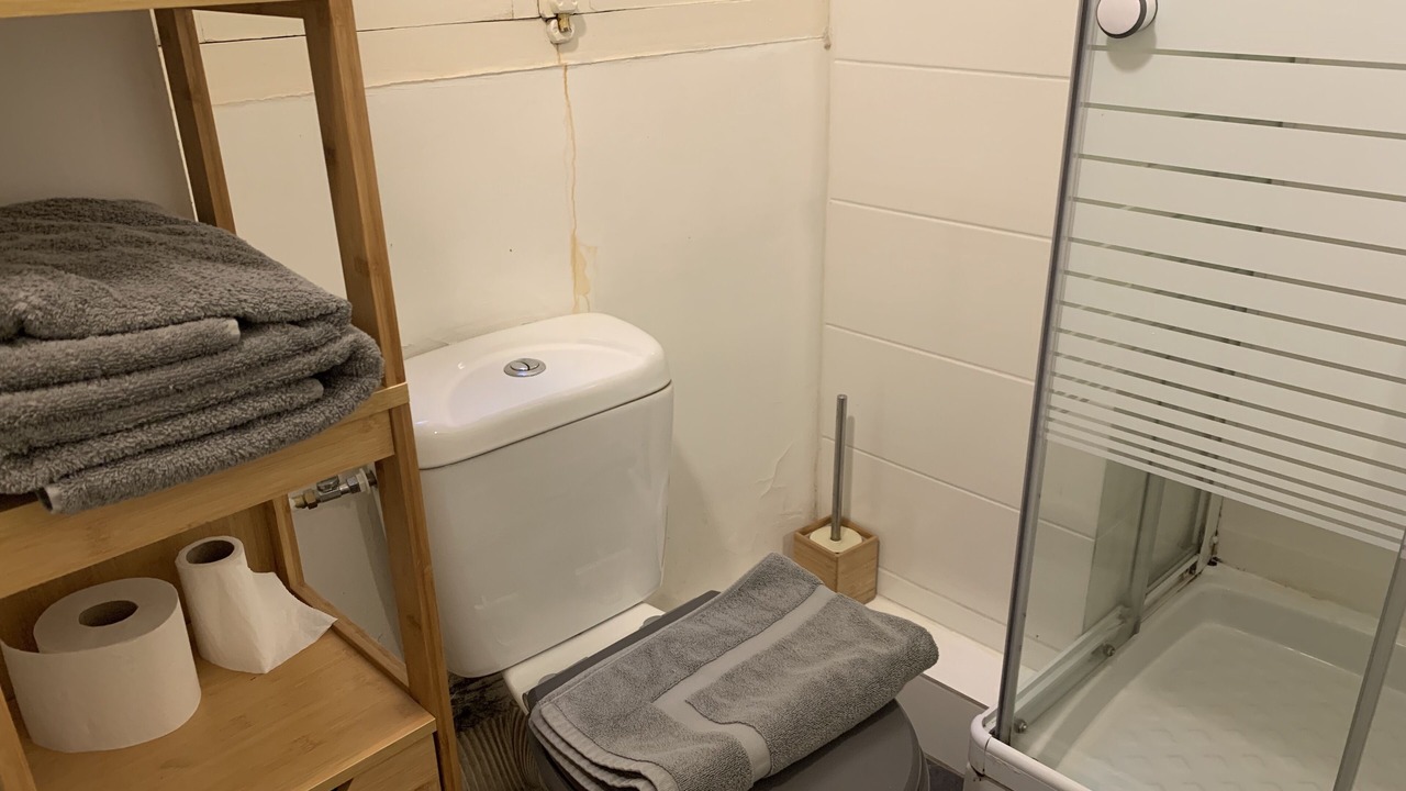 Photo of Bathroom in Terreaux - Bat d'argent