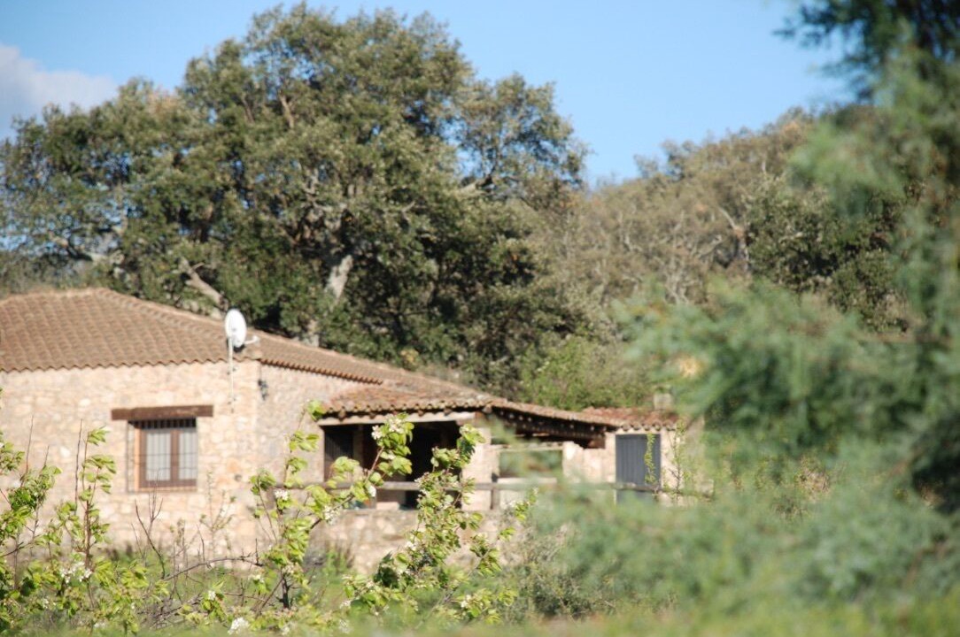 Photo of Outdoor in San Vicente de Alcantara