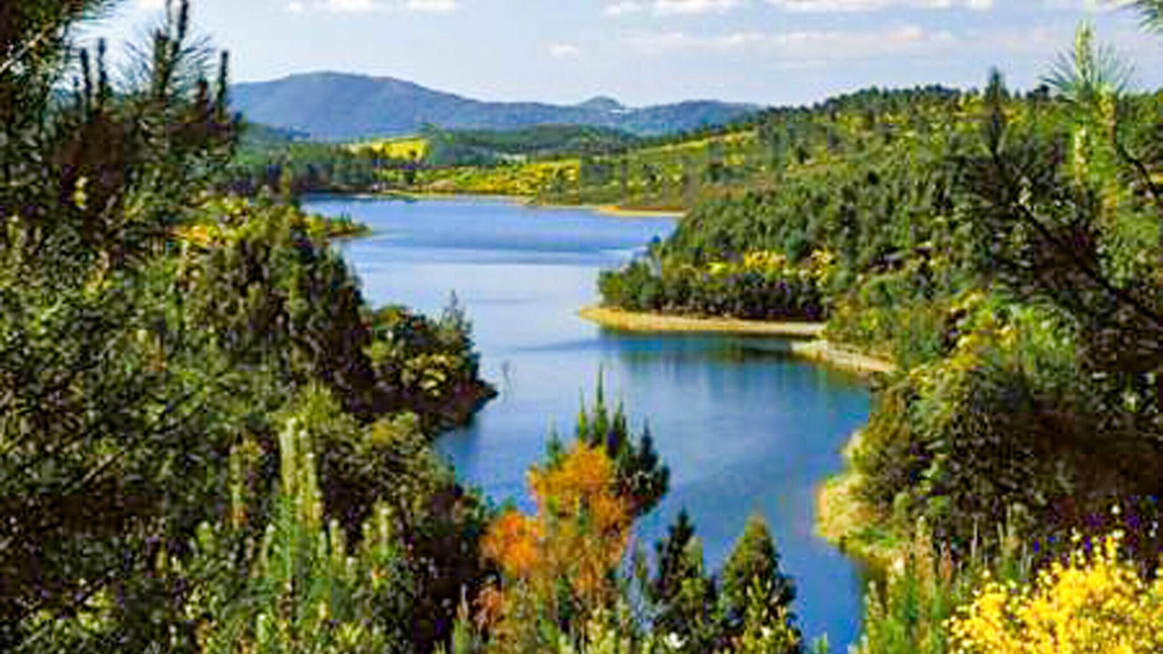 Photo of Others in La Acena de la Borrega