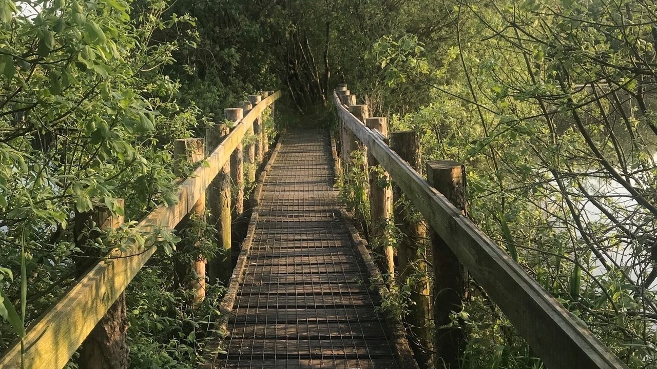Photo of Outdoor in Breiholz