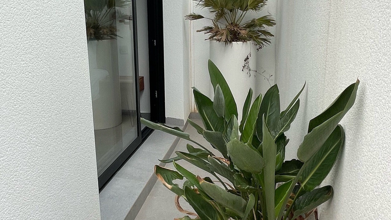 Photo of Outdoor in Los Secanos