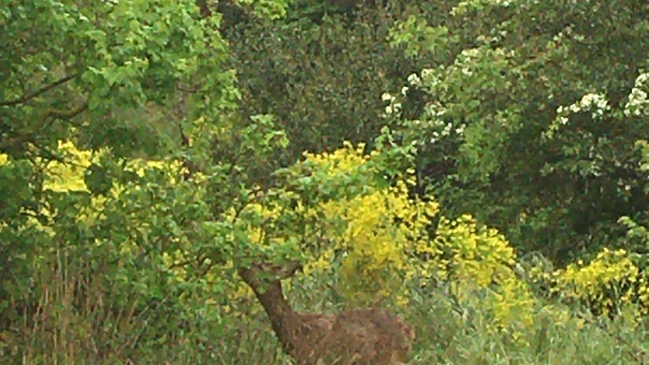 Photo of Outdoor in Est