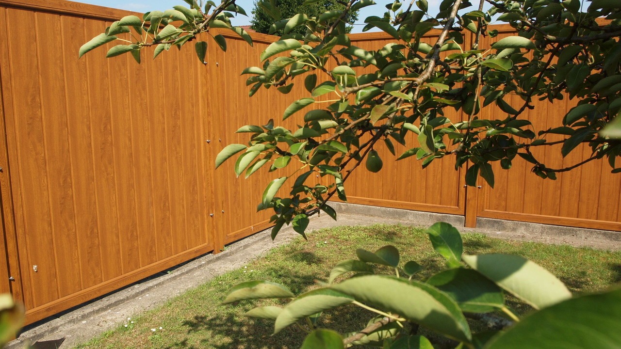 Photo of Outdoor in Lathen