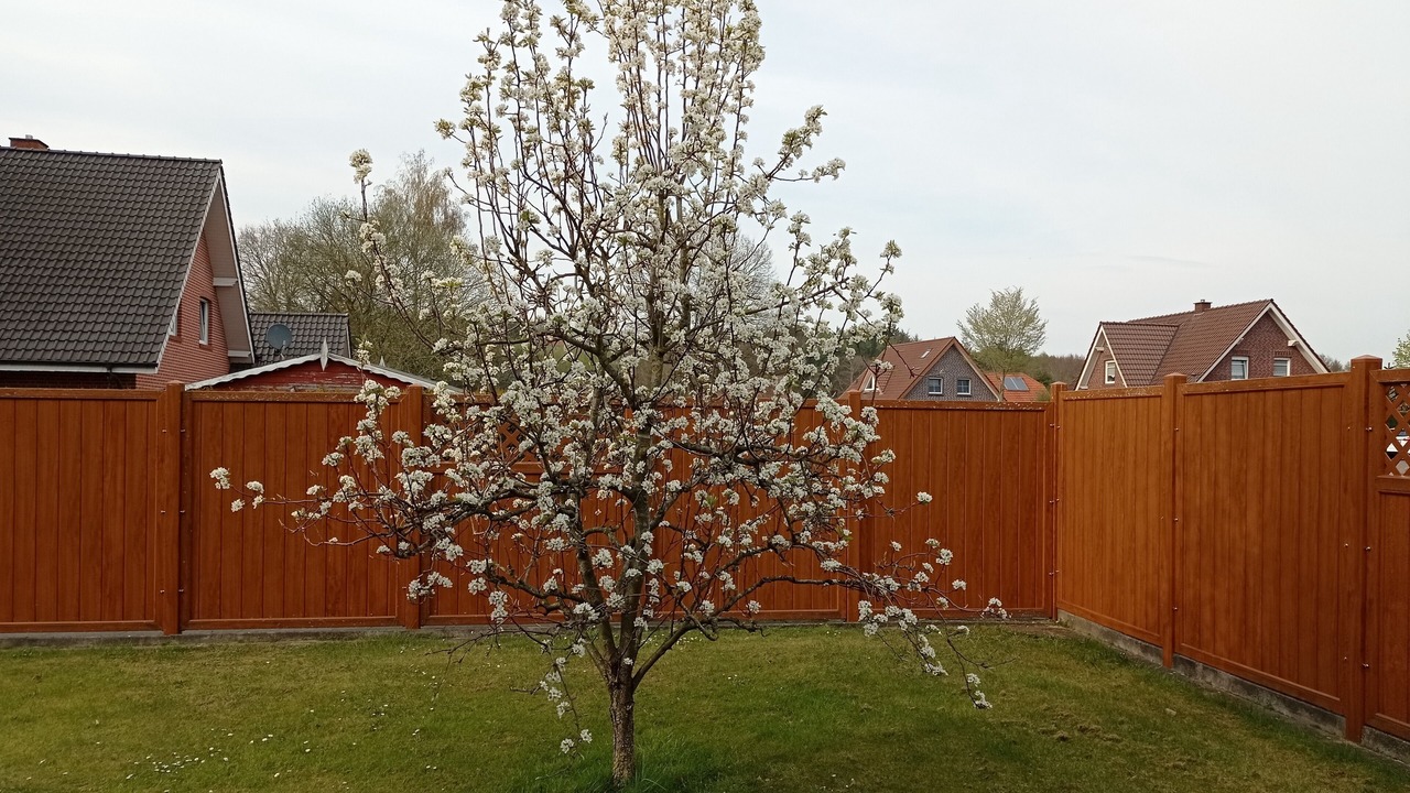 Photo of Outdoor in Lathen