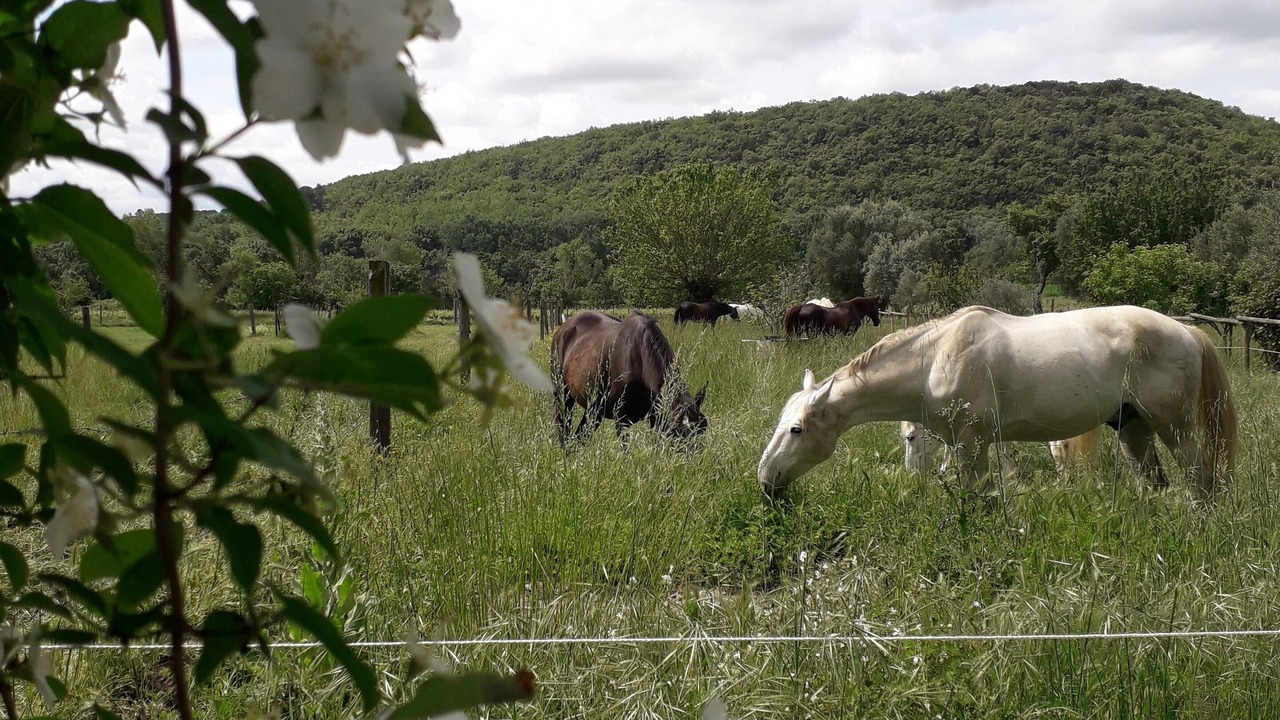 Photo of Outdoor in Euzet-les-Bains
