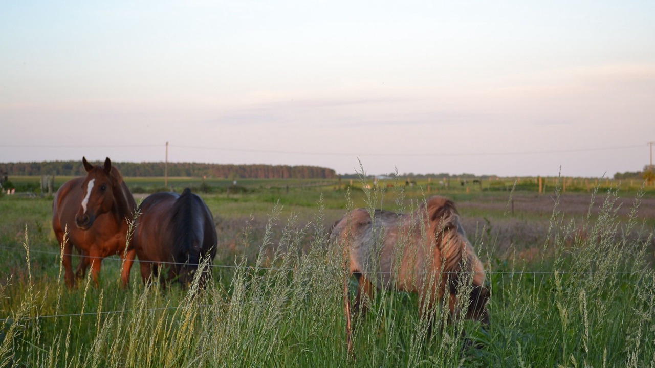 Photo of Others in Bentzin