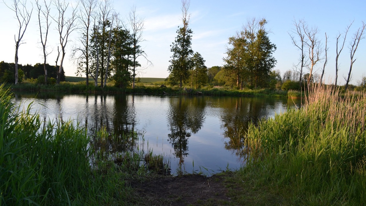Photo of Others in Bentzin