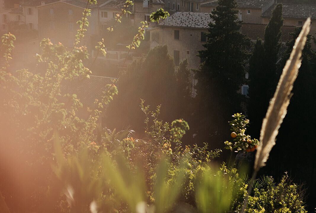 Photo of Others in Deia