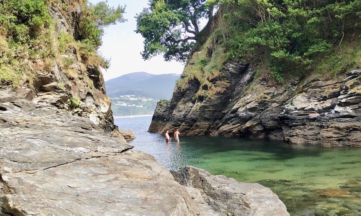 Photo of Others in Viveiro