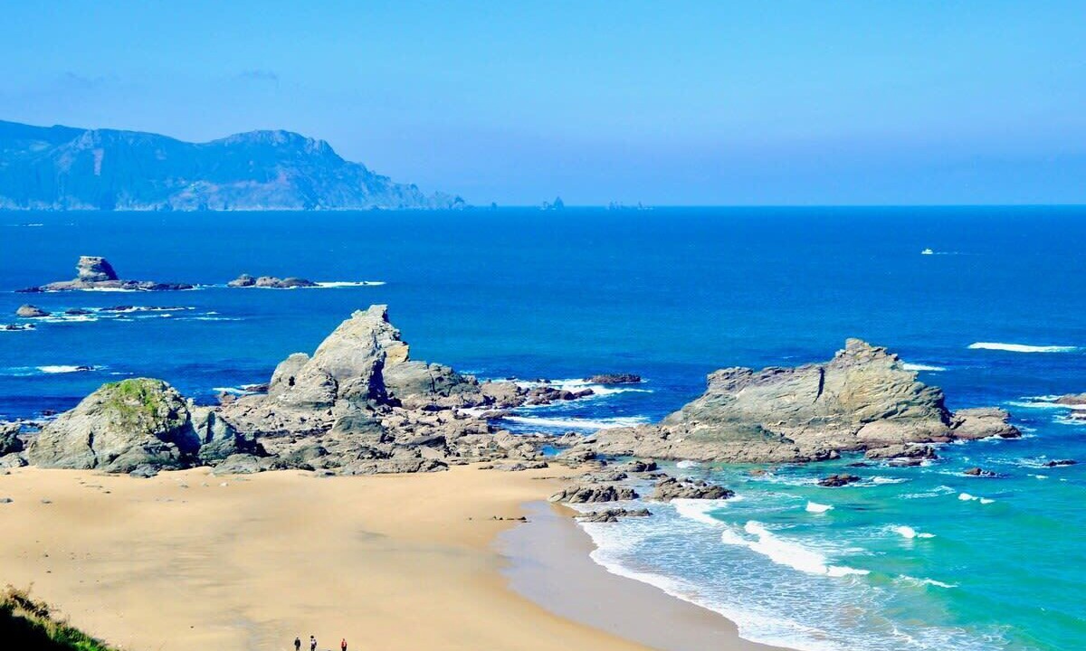 Photo of Others in Viveiro