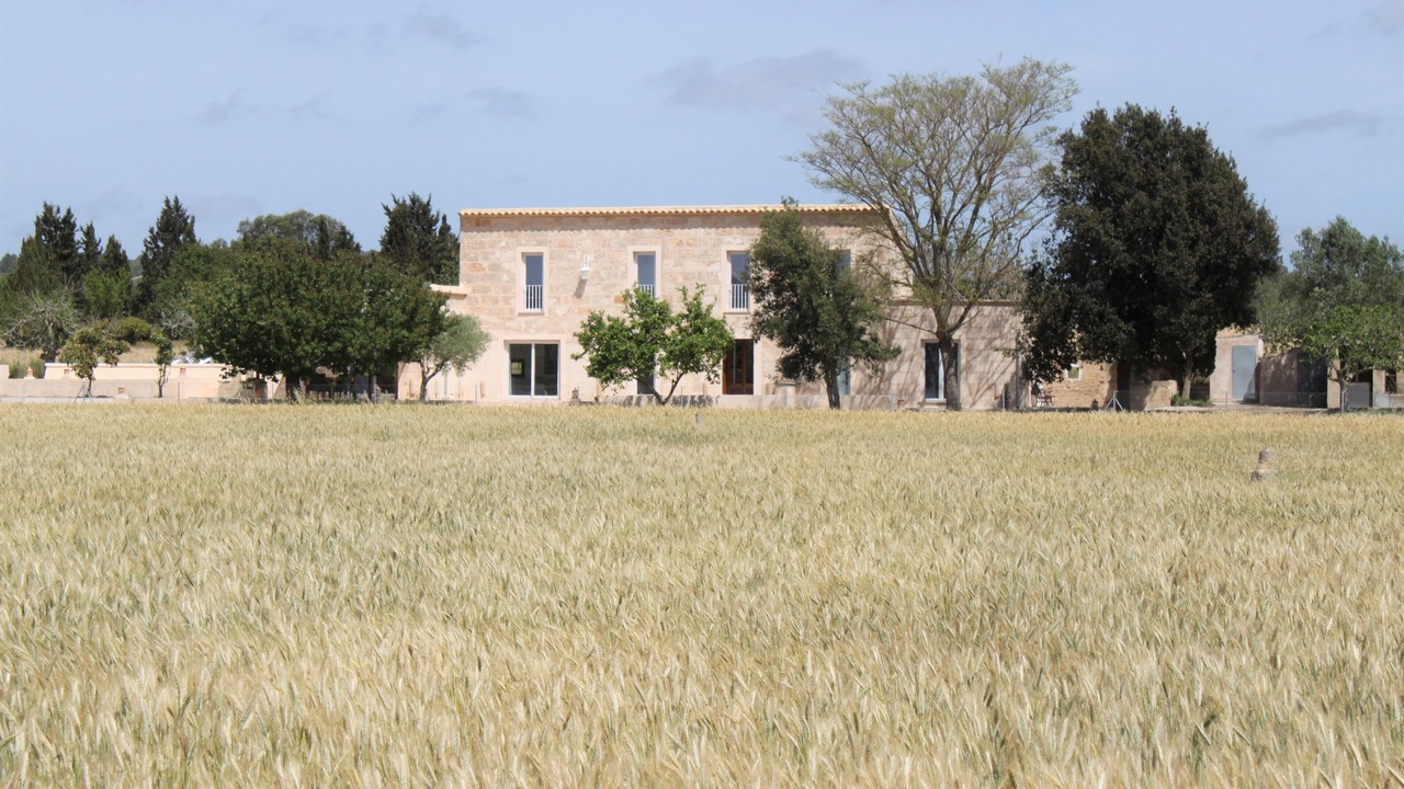 Photo of Outdoor in Montuiri