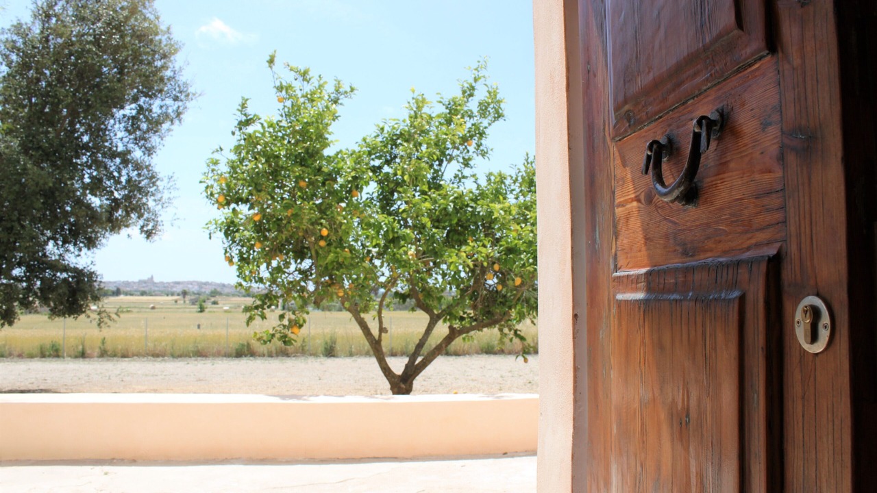 Photo of Outdoor in Montuiri