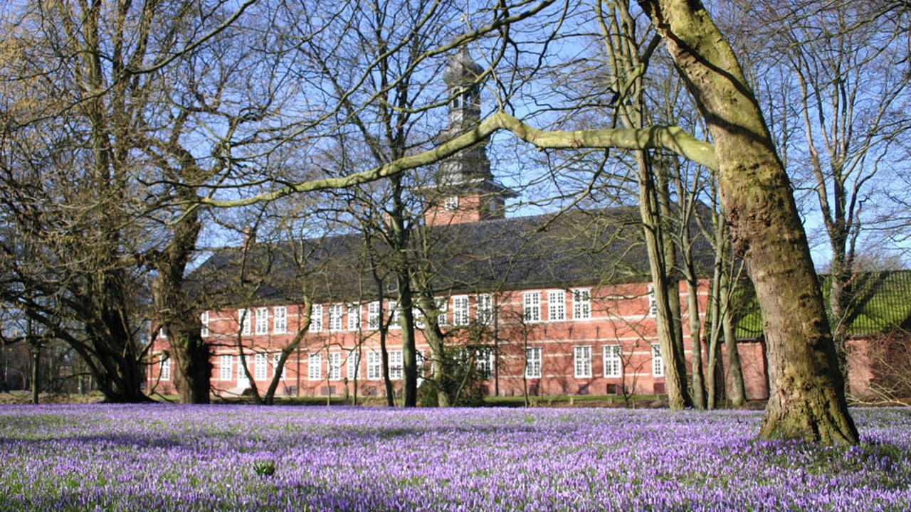 Photo of Others in Schobull