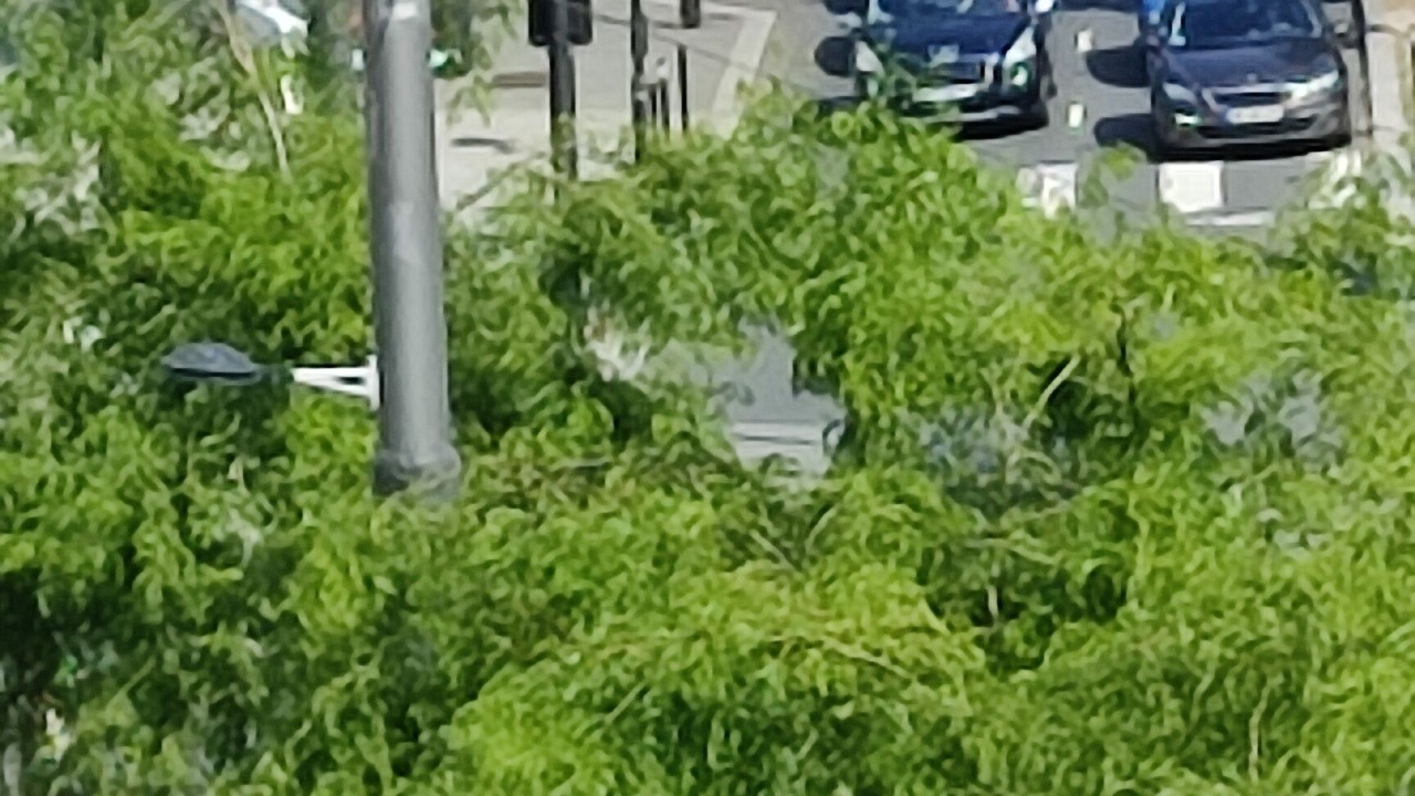 Photo of Others in Downtown Le Havre