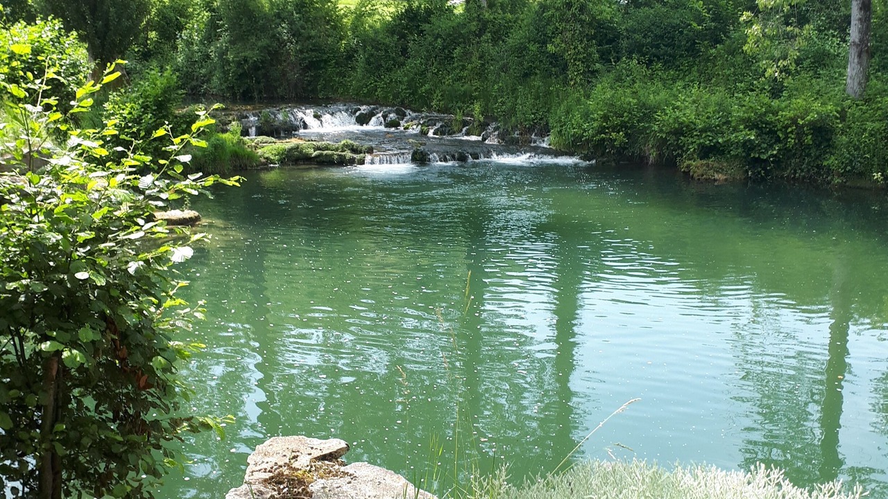 Photo of Others in Condat-sur-Vezere