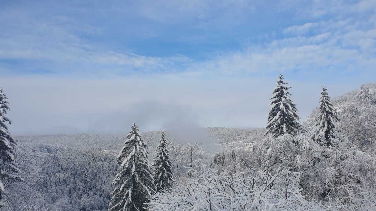 Photo of Others in Morez