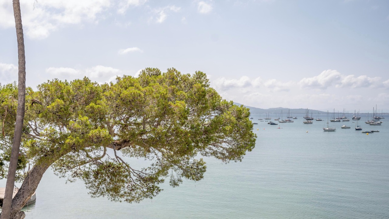 Photo of Others in Puerto de Pollensa