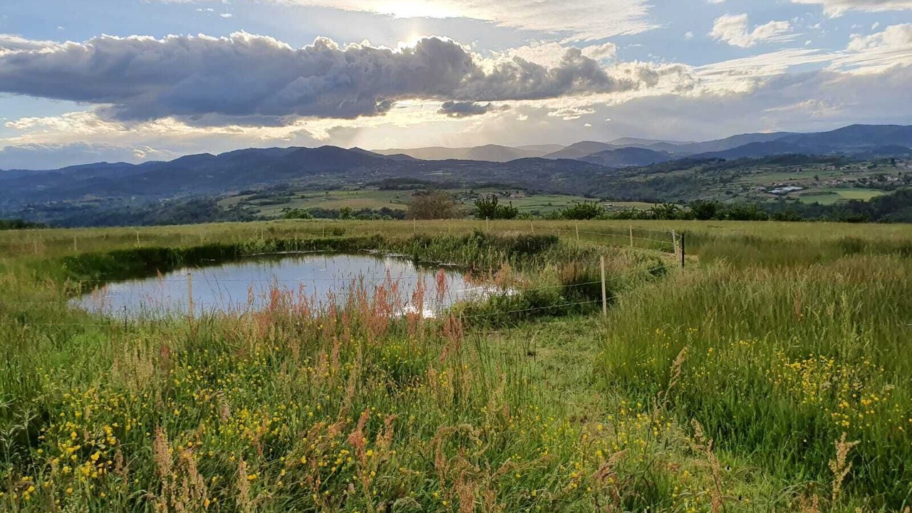 Photo of Outdoor in Saint-Barthelemy-le-Plain