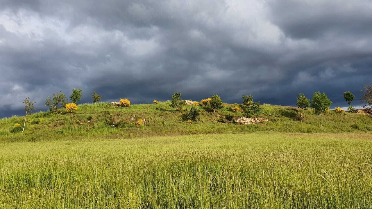 Photo of Others in Saint-Barthelemy-le-Plain