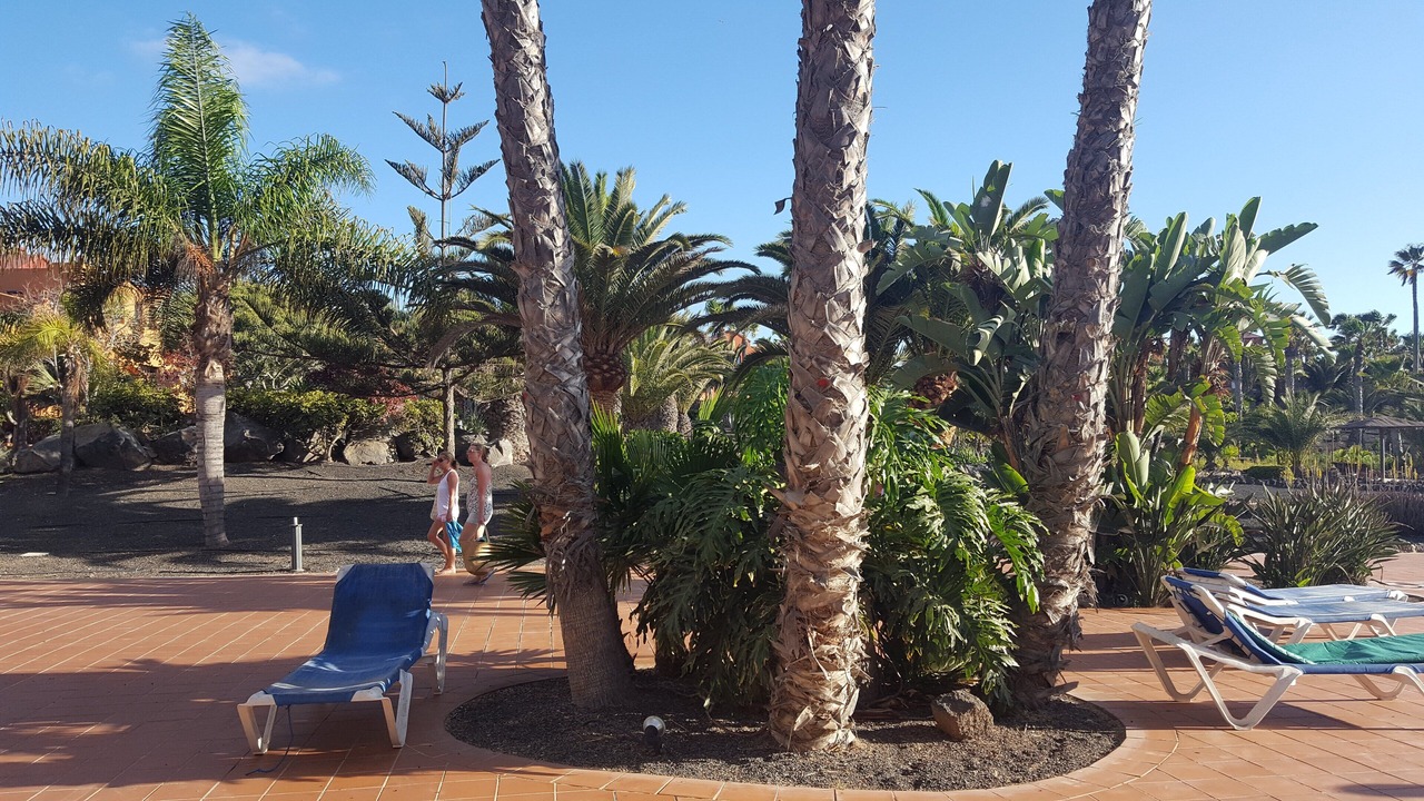 Photo of Patio Balcony in Corralejo