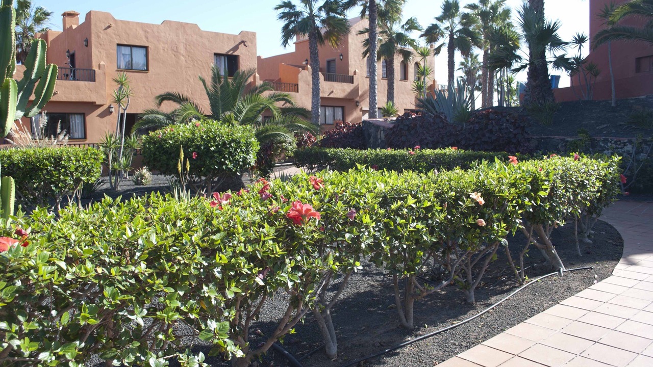 Photo of Outdoor in Corralejo