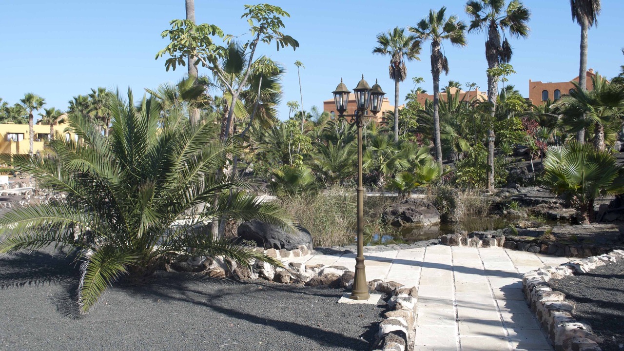 Photo of Outdoor in Corralejo
