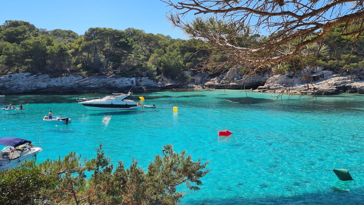 Photo of Others in Coves Noves