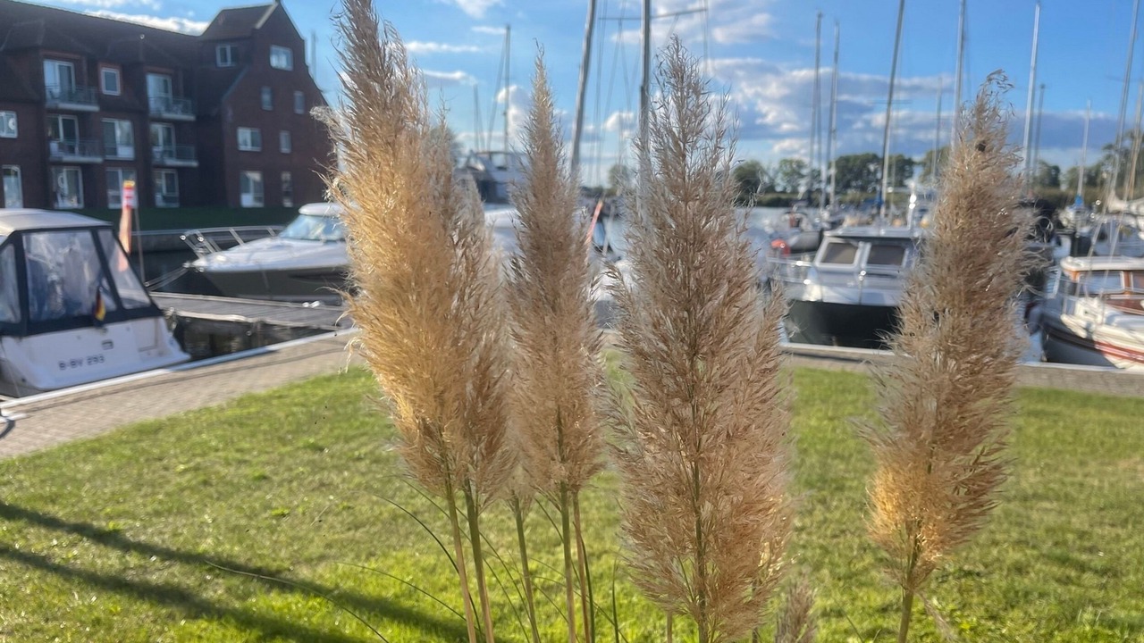 Photo of Outdoor in Ueckermuende