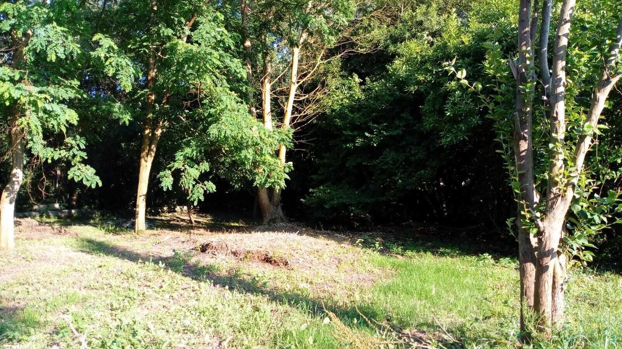 Photo of Outdoor in Arnuero