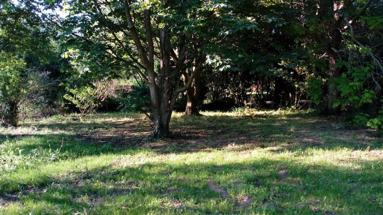 Photo of Outdoor in Arnuero